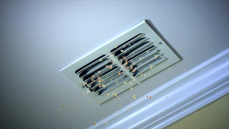 Best Home Air Vent Cleaning  in Batavia, IL